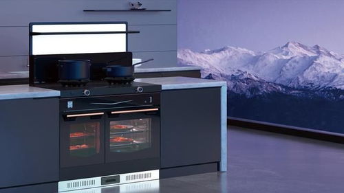 2024年集成灶銷量前十產(chǎn)品盤(pán)點(diǎn) 互聯(lián)網(wǎng)銷售市場(chǎng)格局分析